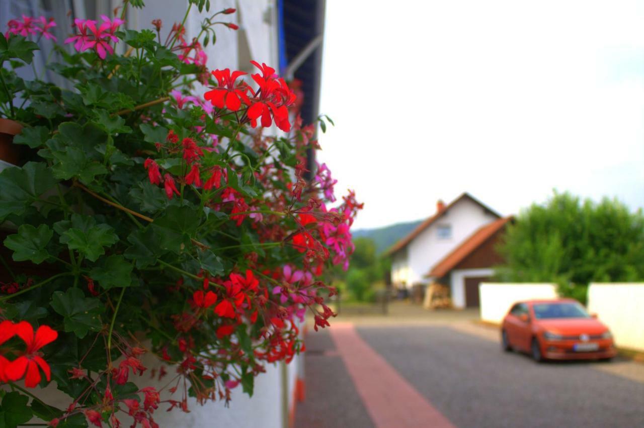 Wdwell Appartement Munchweiler an der Rodalbe Buitenkant foto